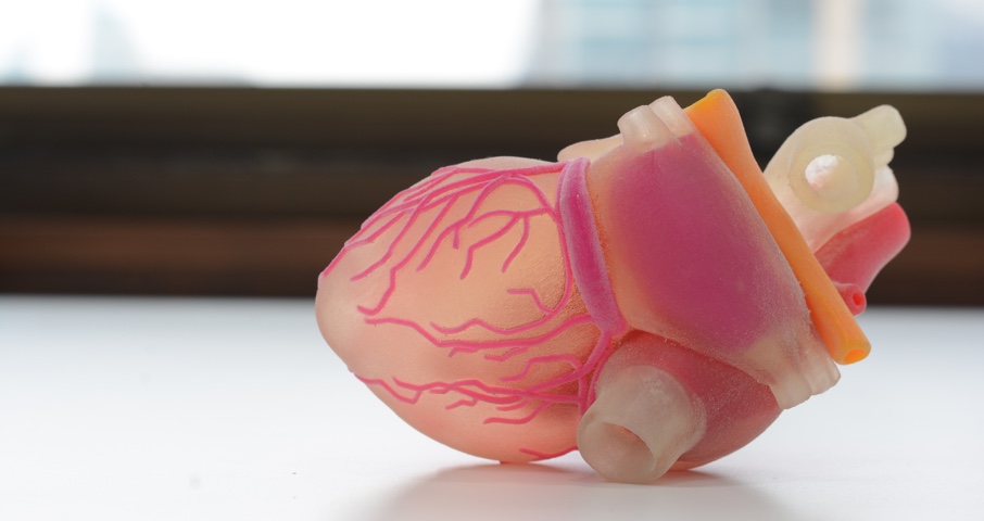 Scientists Can 3D Print Human Heart Tissue