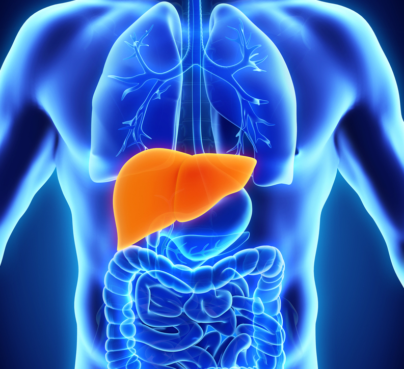 Ambys Gets $140 Million Series A Funding to Cure Liver Disease