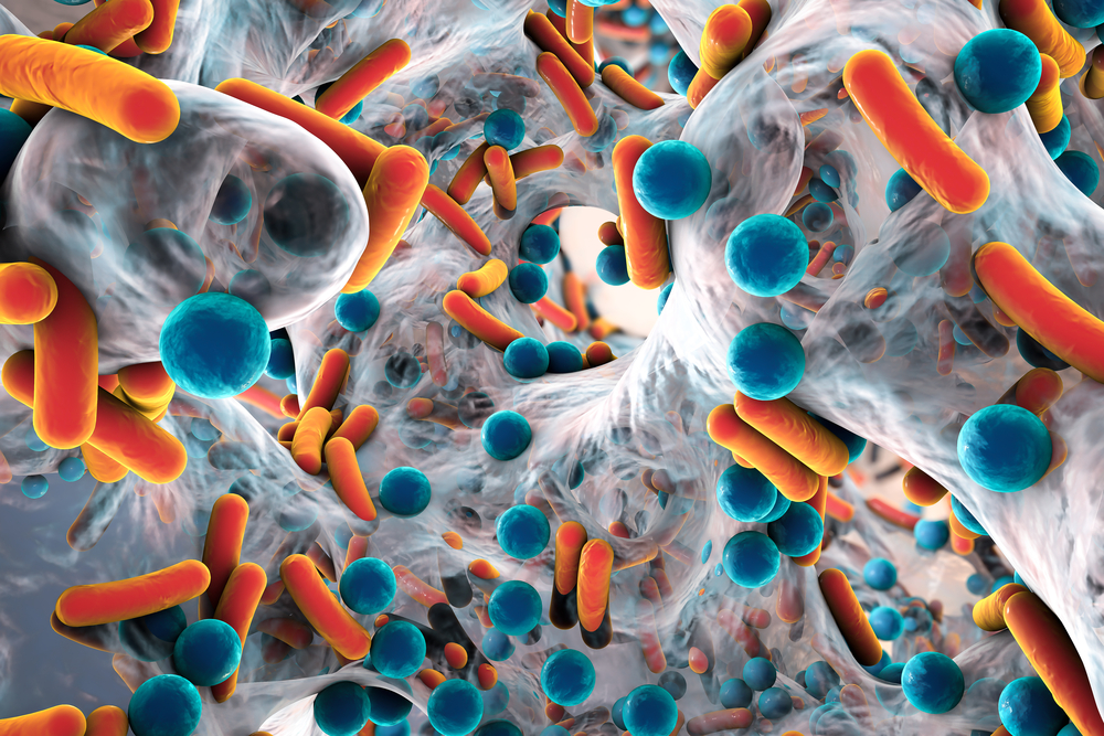 Entasis Therapeutics Might Help Patients Battling Drug Resistant Bacteria as Early as Next Year