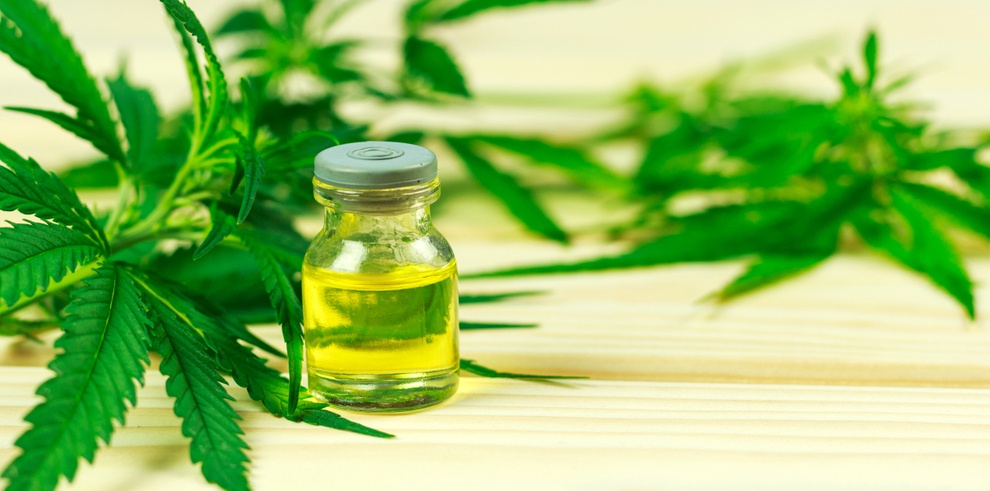 CBD vs. THC: 7 Things Every Beginner Should Know