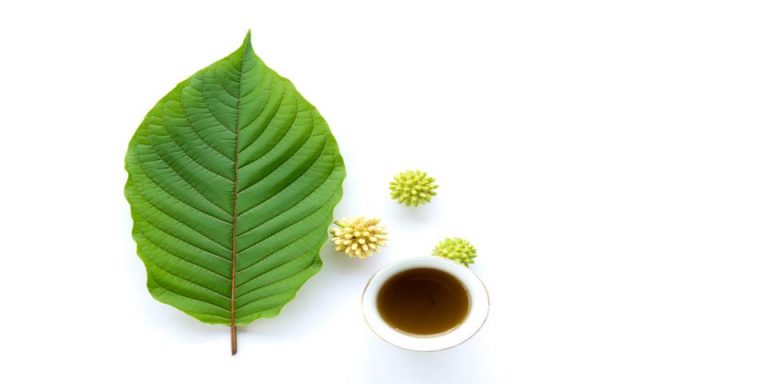 12 Things You Should Know about Kratom Withdrawal Symptoms - Healthcare