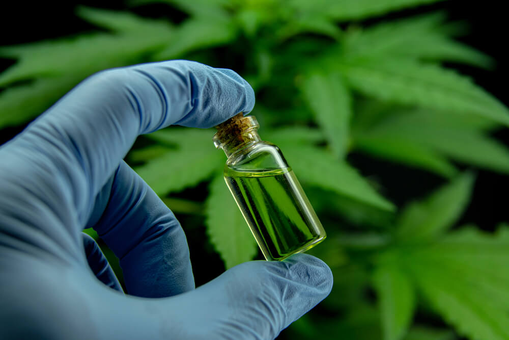 CBD Market Projected To Reach 6.5 Billion By 2030