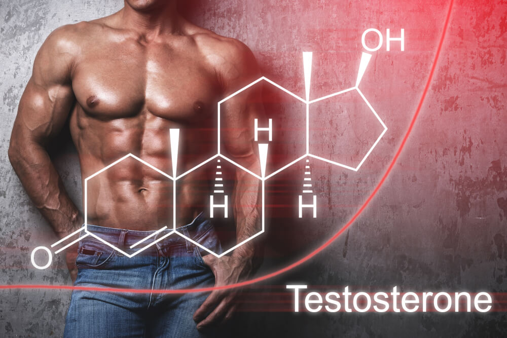 Want to Boost Your Testosterone Levels? Here’s What You Can Do