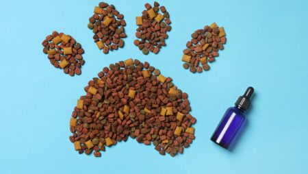 Giving CBD to Pets, a New Use for an Increasingly Popular Product