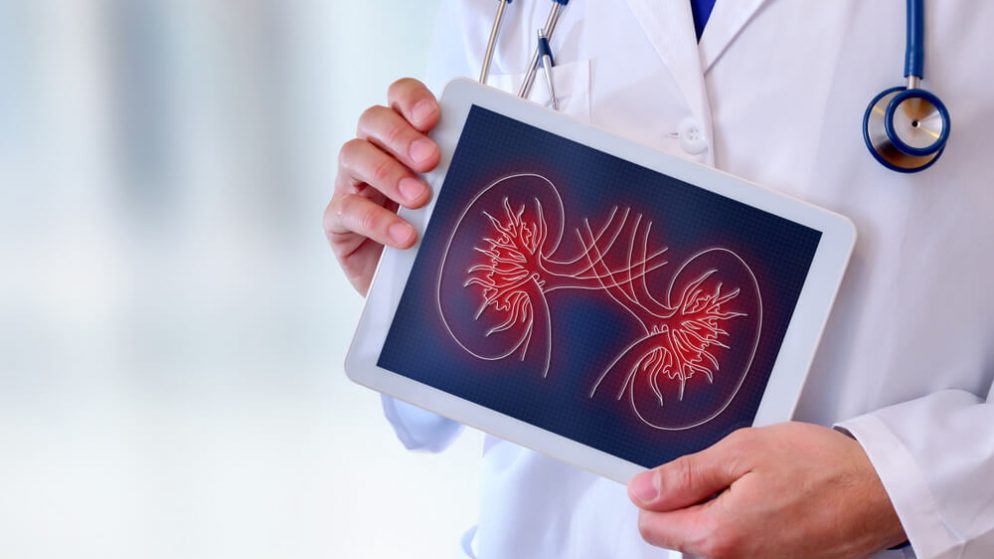 Kidney Failure Treatment Options: Dialysis, Transplant, And Beyond 
